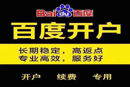 揭秘成功之道：竞价推广公司经典案例分享